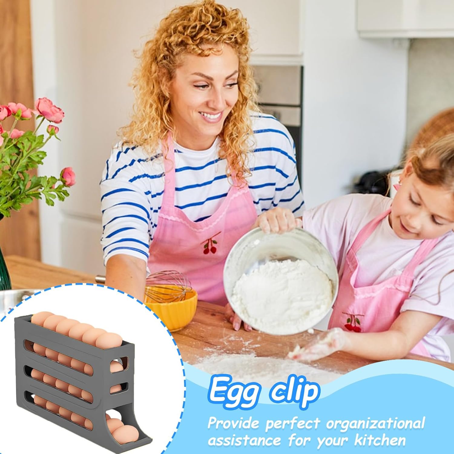 Organizator Oua Frigider